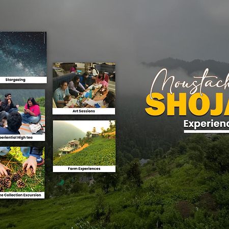 Albergue Moustache Shoja, Jibhi Exterior foto